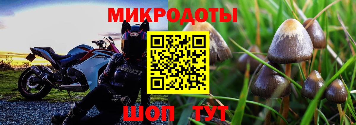 Псилоцибиновые грибы Magic Shrooms Лениногорск