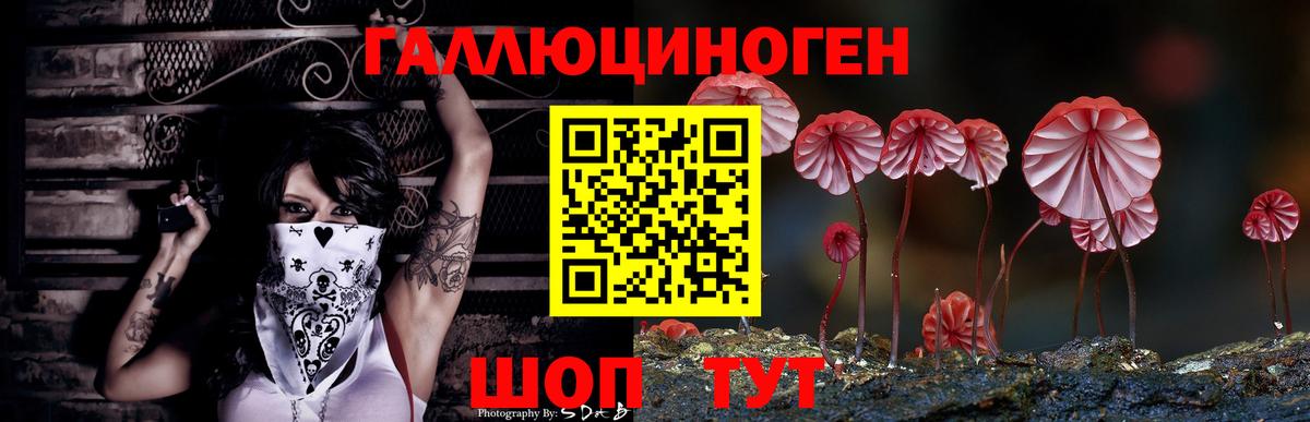 Псилоцибиновые грибы Psilocybe  Псилоцибиновые грибы Psilocybine cubensis  Лениногорск  Вход с VPN 
